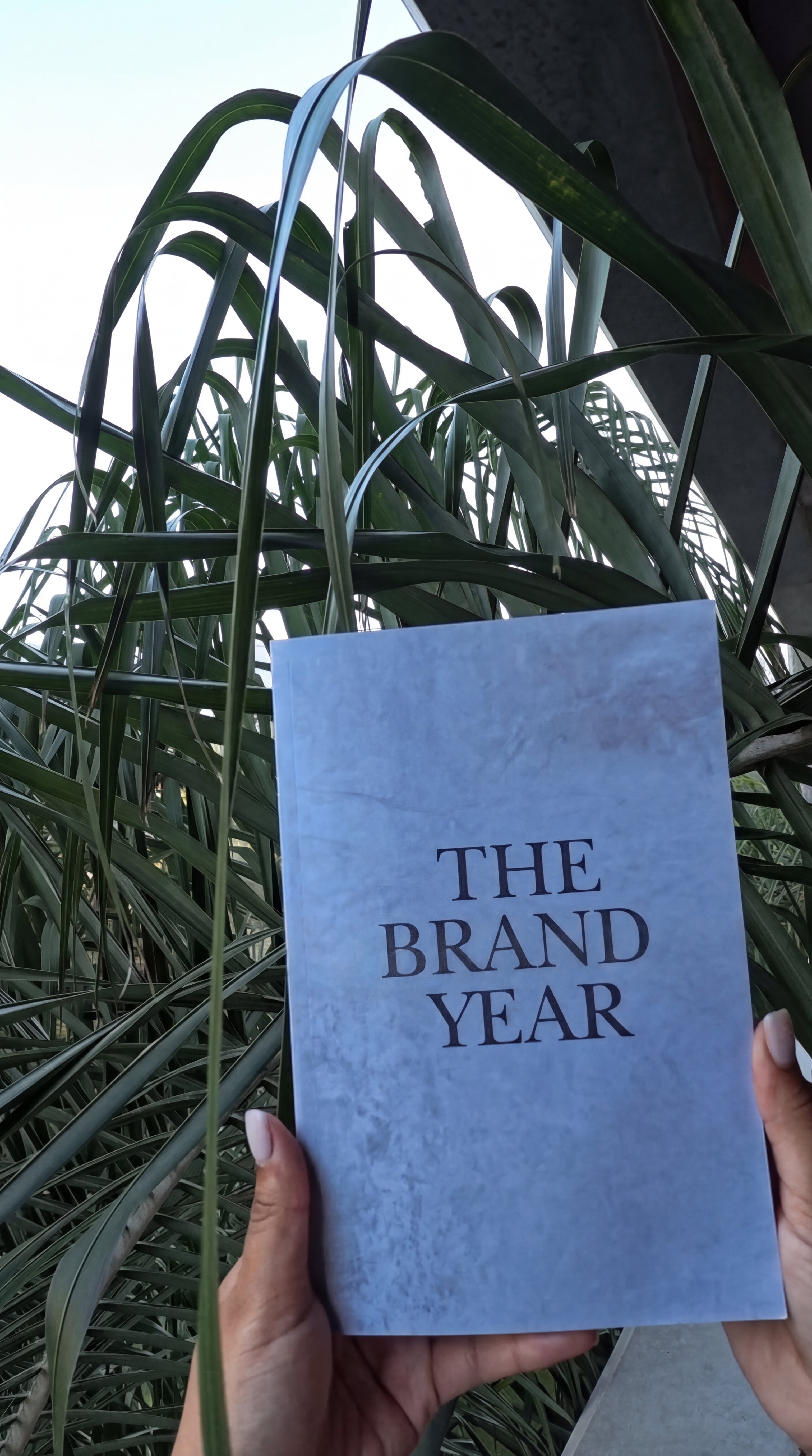PRE-ORDER The Brand Year — Paperback