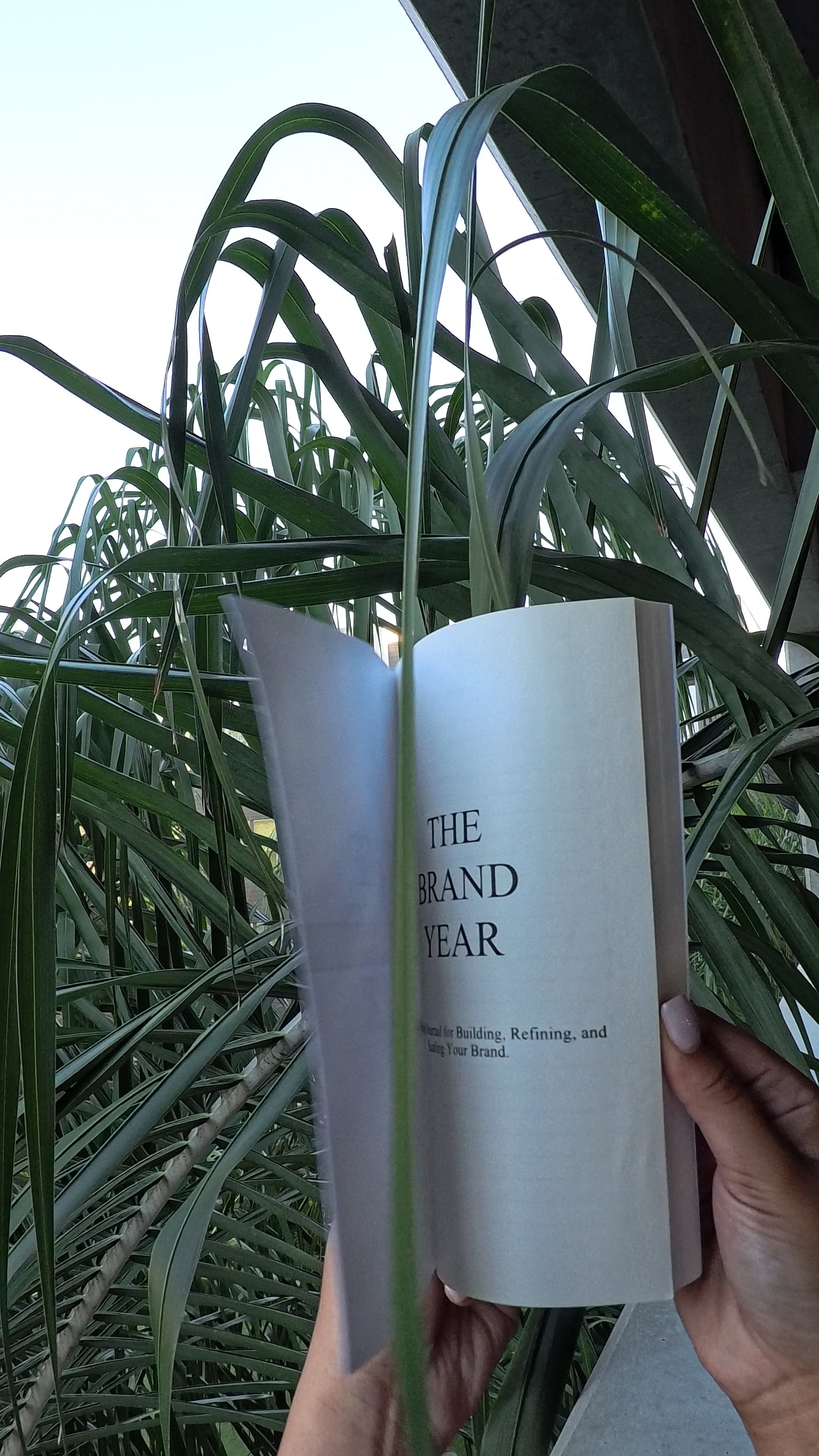PRE-ORDER The Brand Year — Paperback